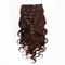 Brown Clip in Human Hair Extensions Indian Virgin Remy Hair for Black Women Body Wave supplier